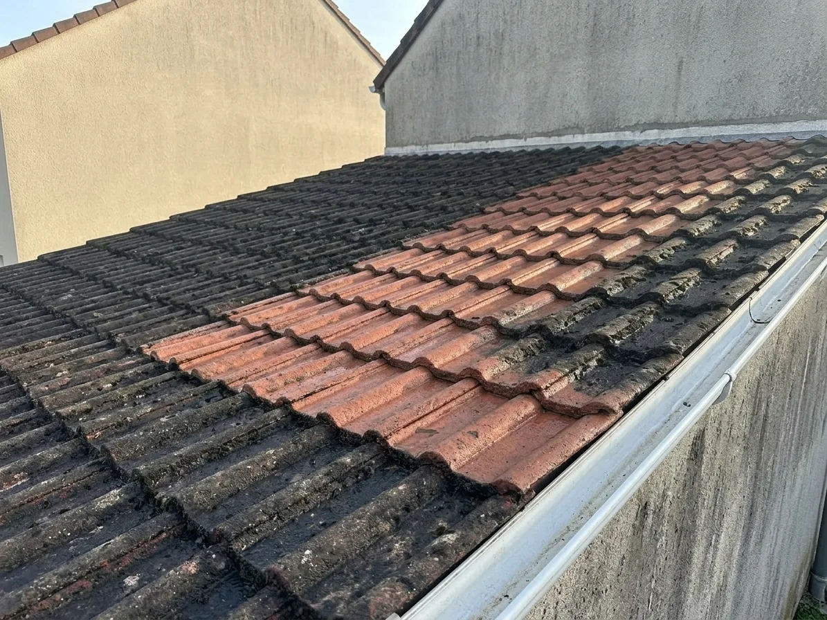 Démoussage de toiture à Villeparisis Démoussage de toiture à Villeparisis